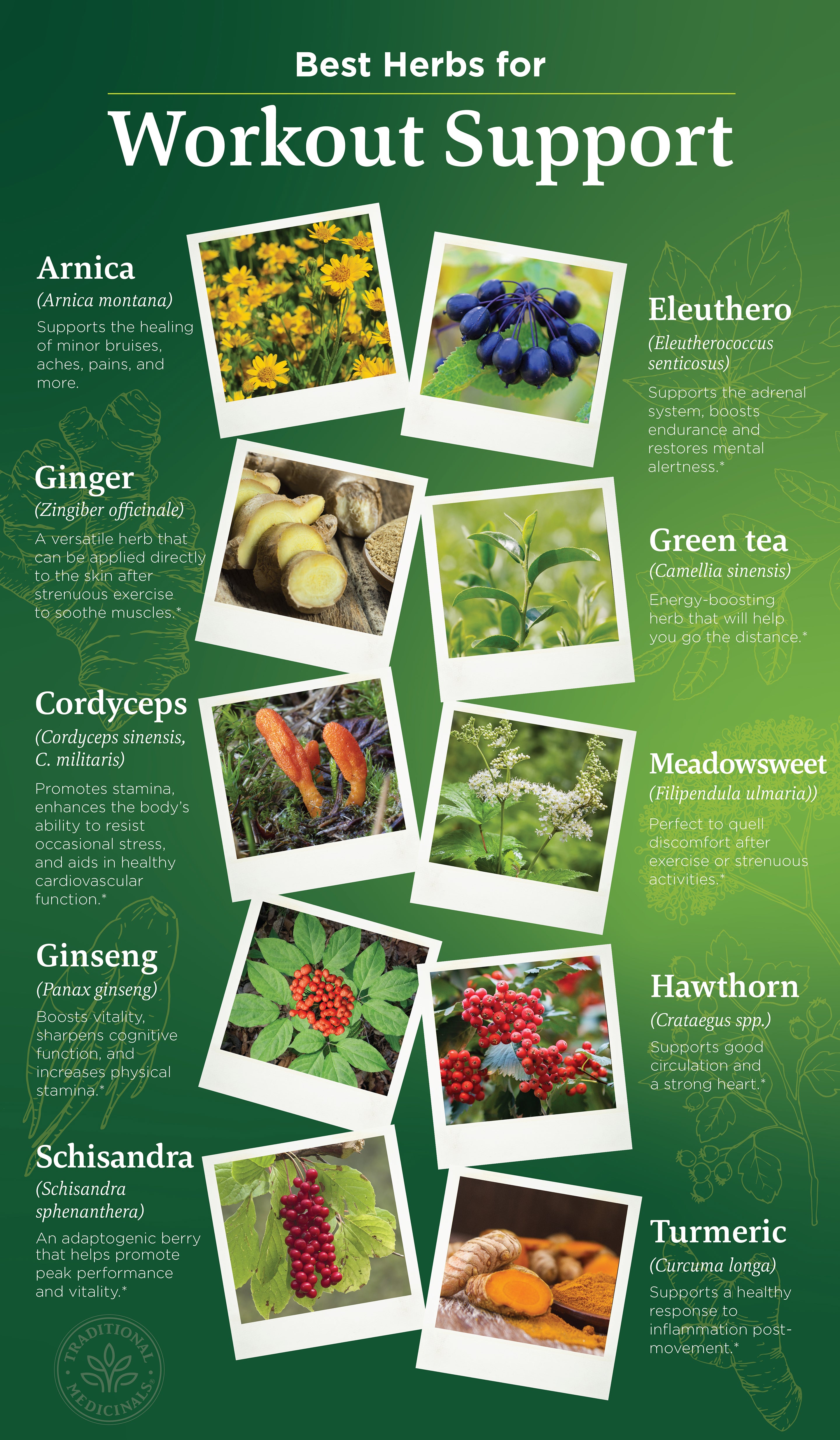 Best Herbs for Workout Support infographic