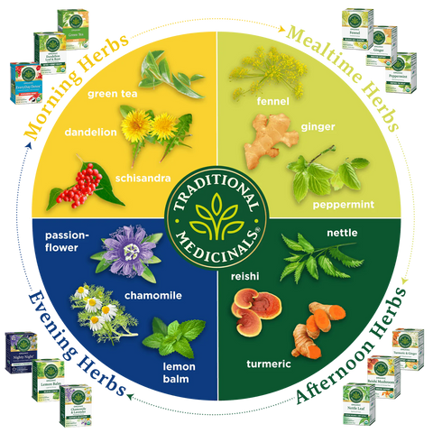 Morning, Mealtime, Afternoon & Evening Herbs Infographic