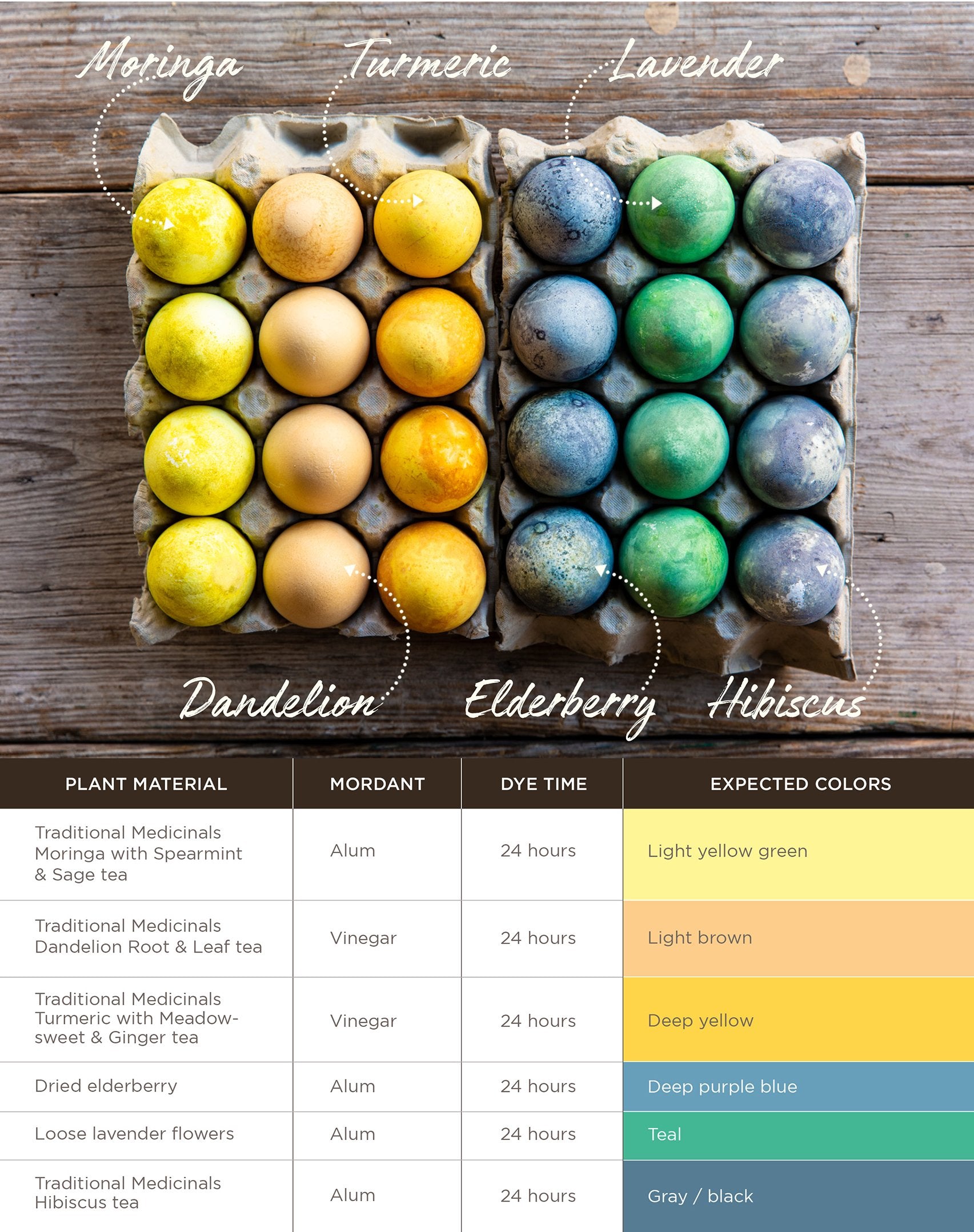 infographic for dyeing eggs with herbs