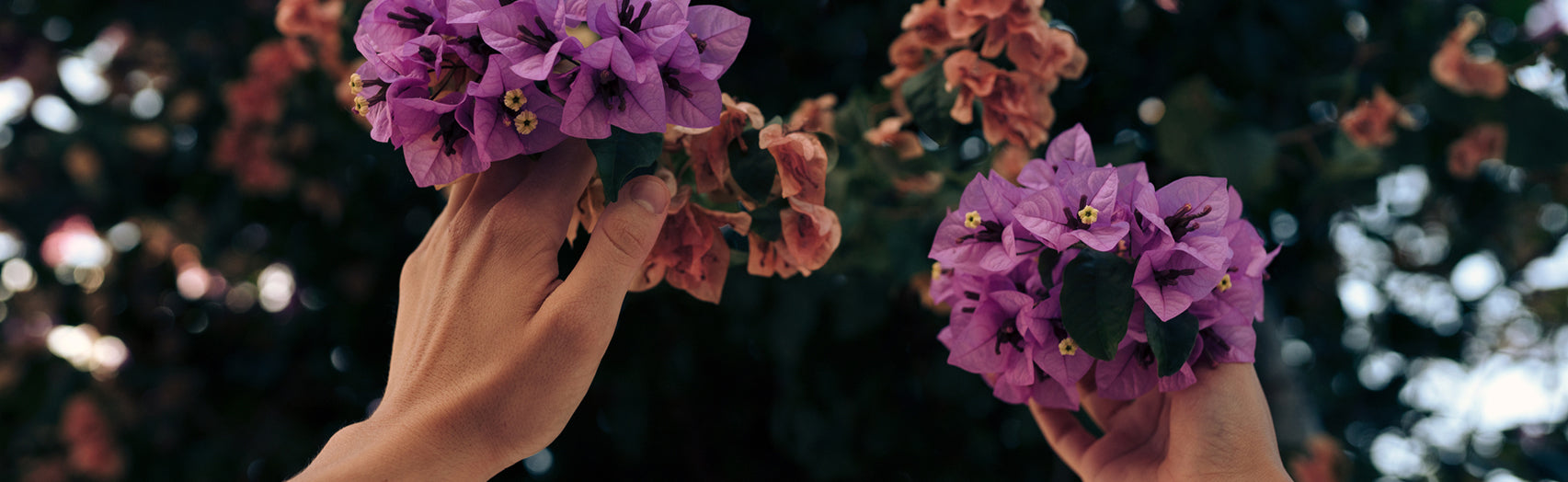 What's Your Herbal Love Language?