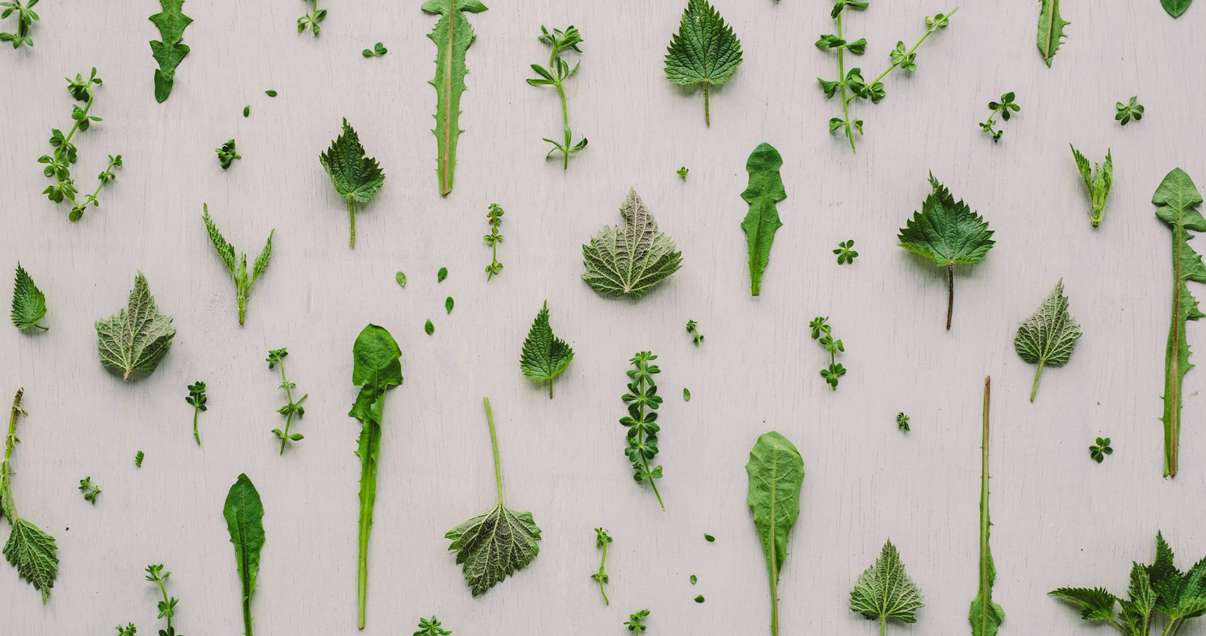 Spring tonic teas
