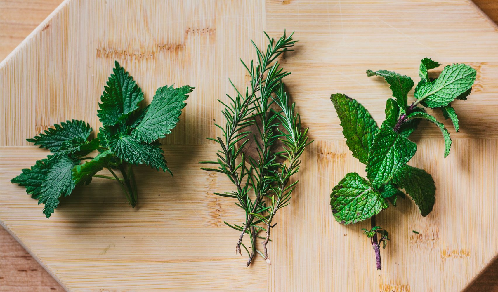 Herbs
