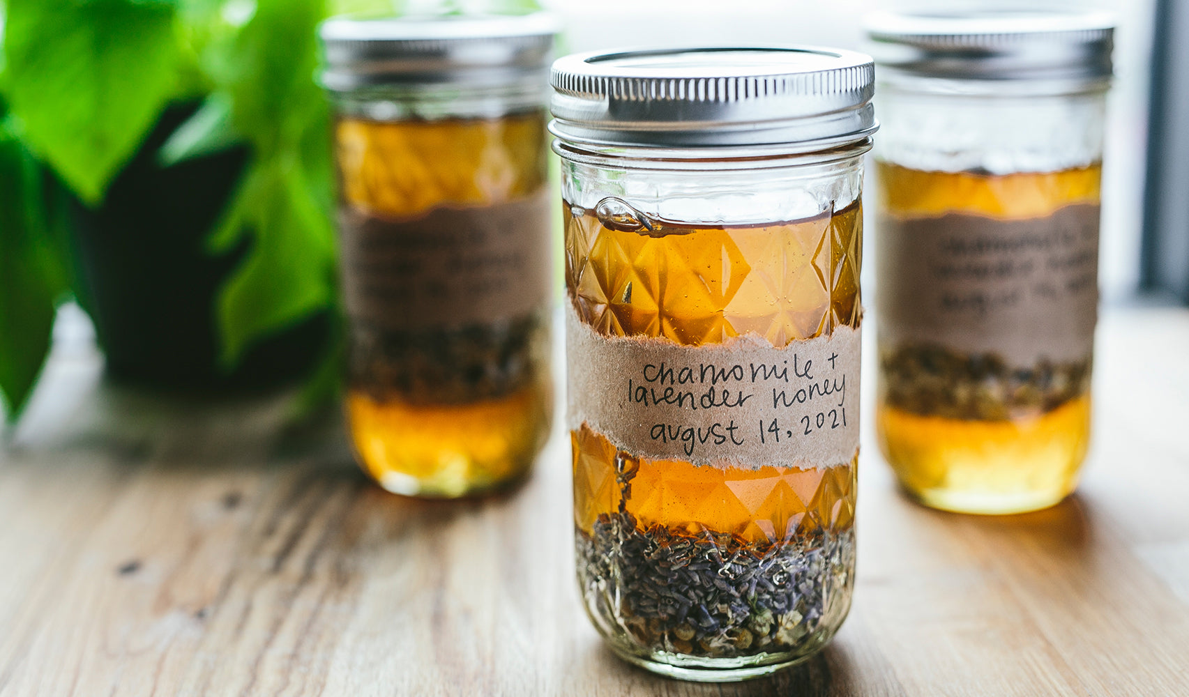 honey with herbs