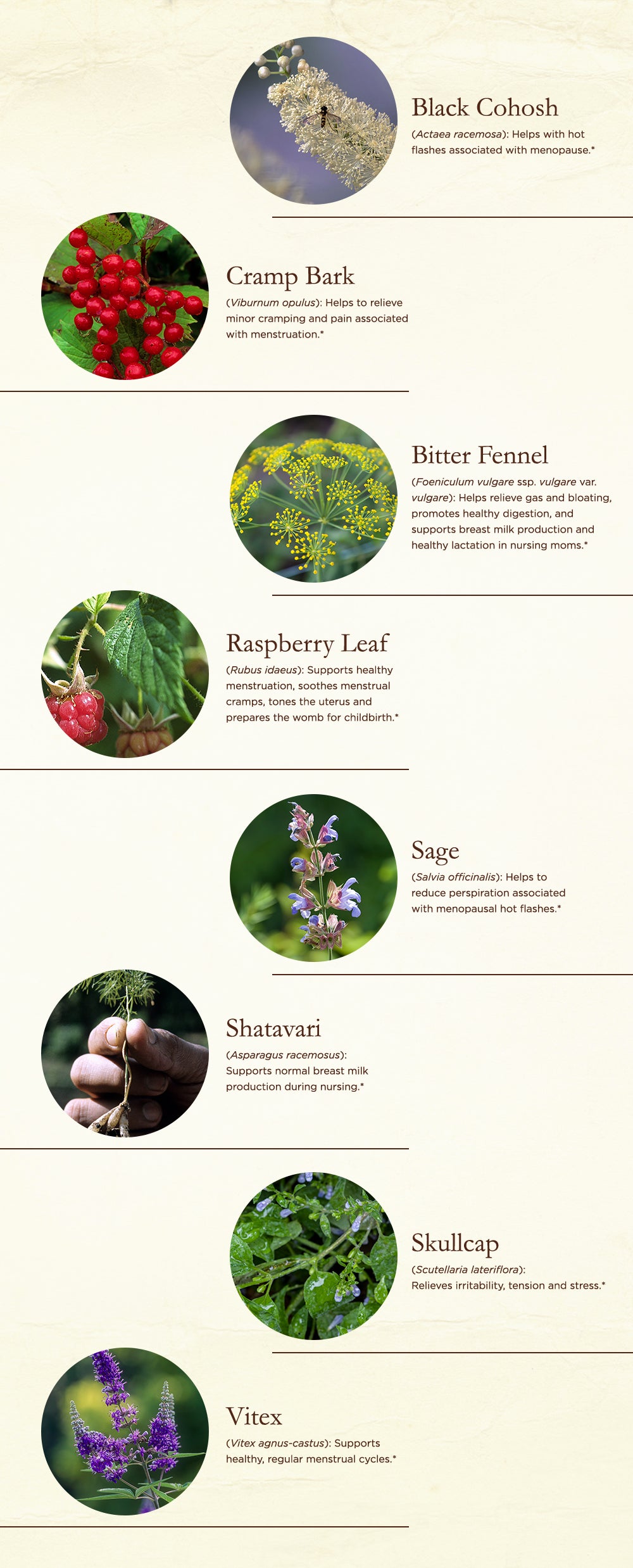 best herbs for women
